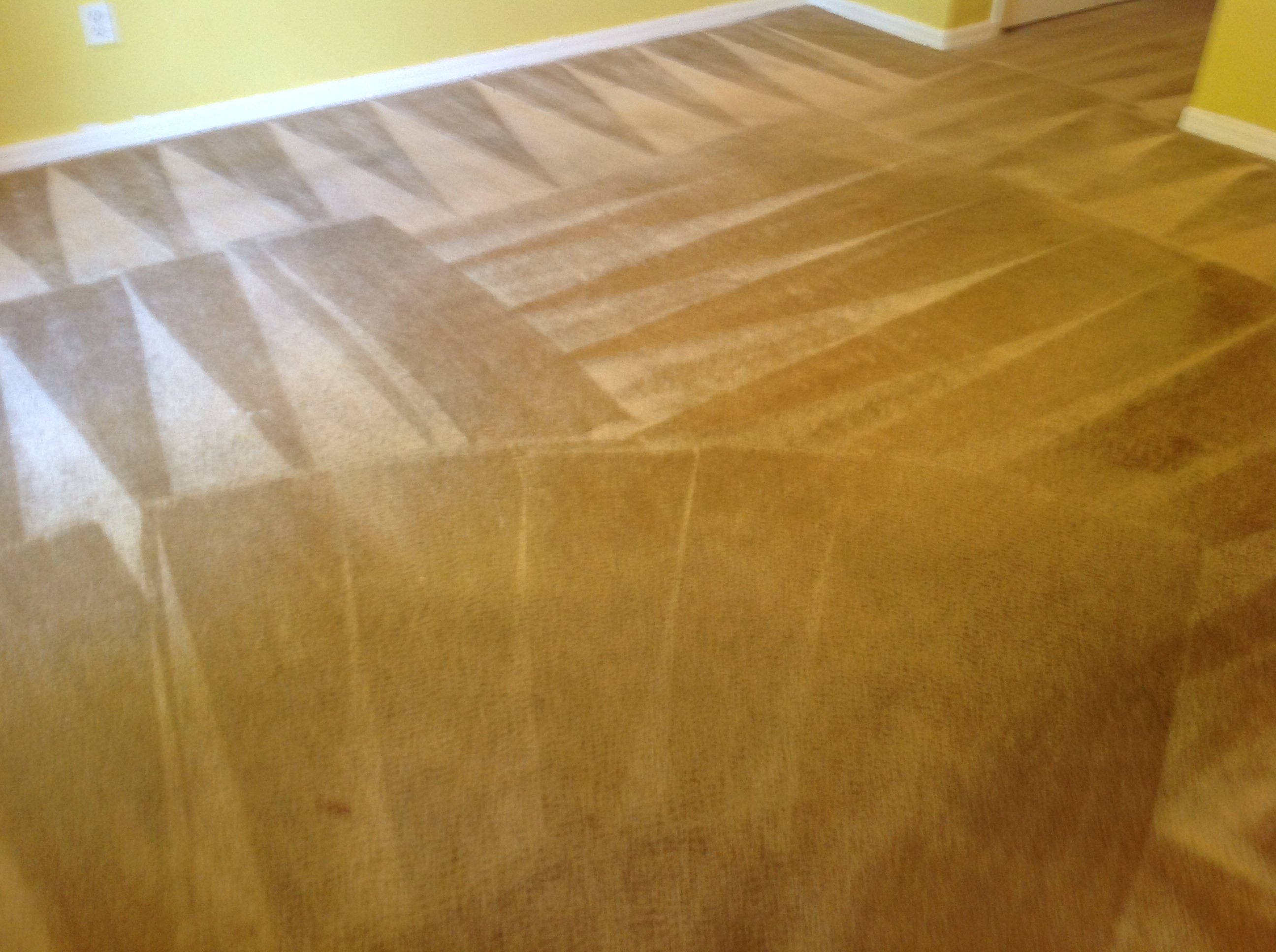 Avatar for DK Custom Carpet Cleaning & Floor Care